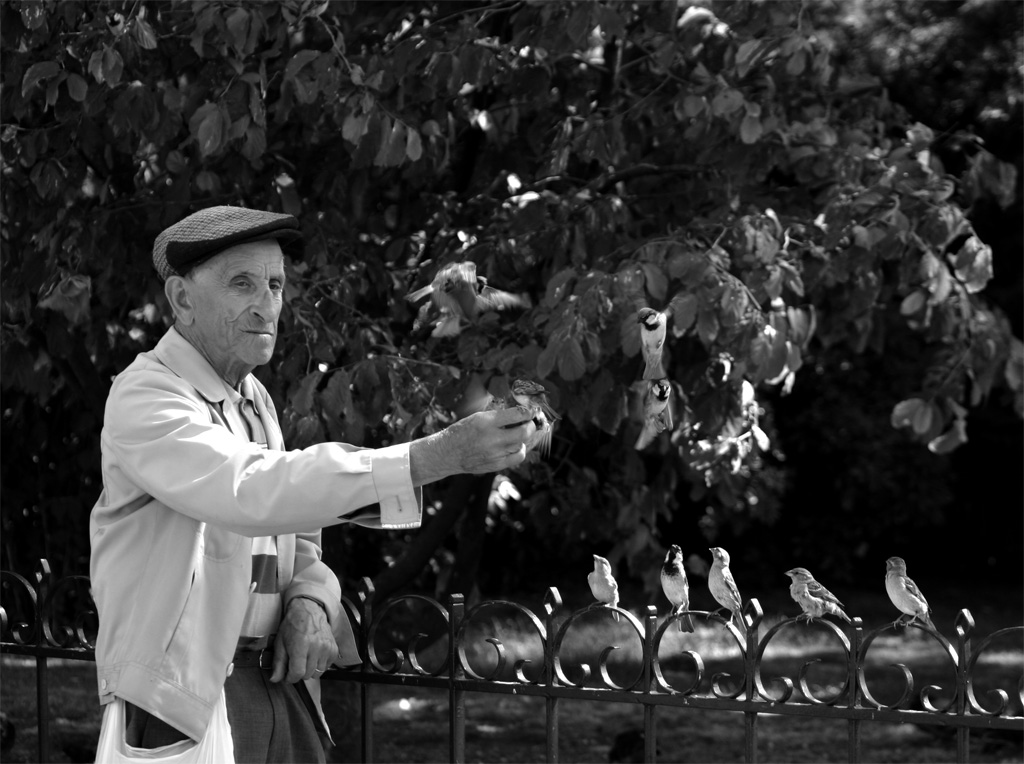 San Francesco "Parigino"