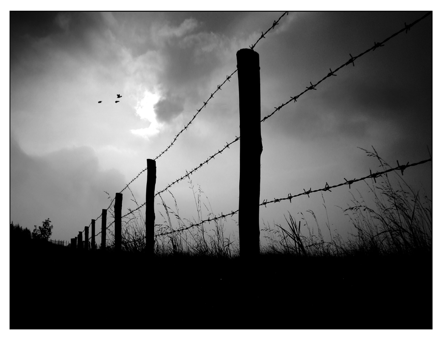 ::: UNA NUOVA DESTINAZIONE :::