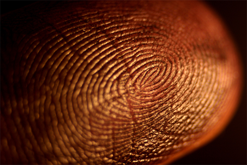 Texture... digitale.