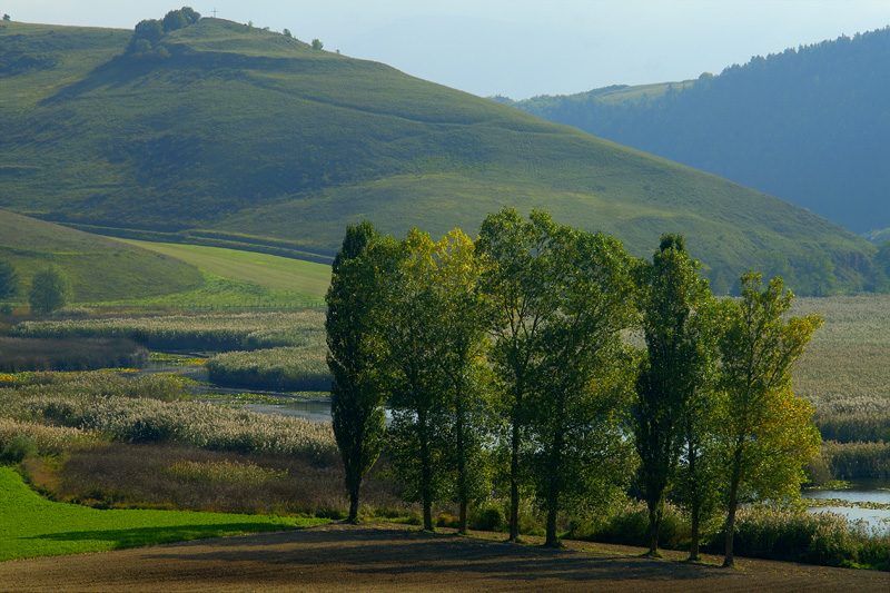 Paludi di Colfiorito