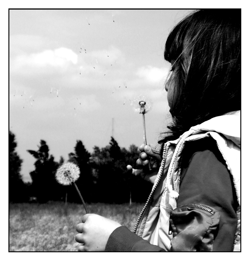 ::: PFFFFFFFFFFHHH :::