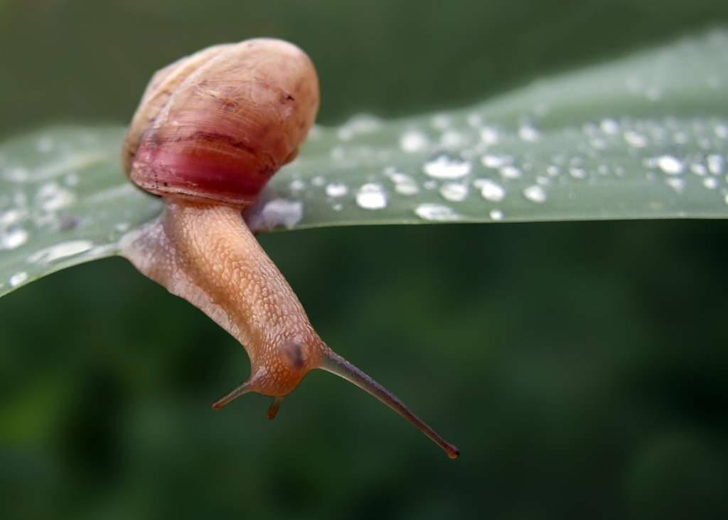 Guardando il mondo ...