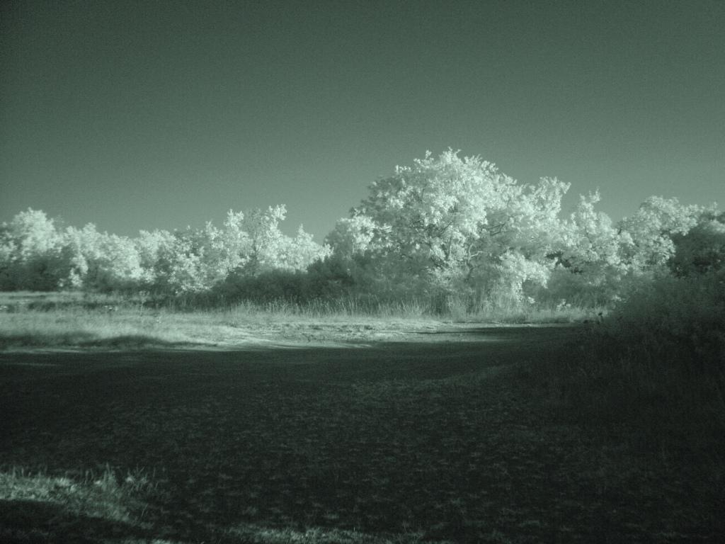 La mia terra all'infrarosso