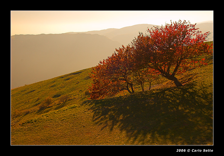 Tramonto sul colle Moschin