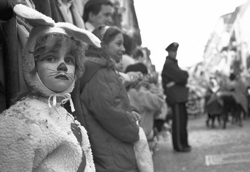 Sadness of the rabbitt