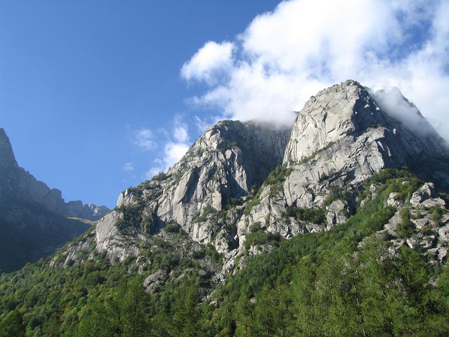 granito nel verde (S70)