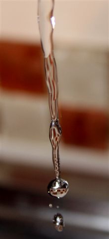 Prima foto con Canon Eos 400D