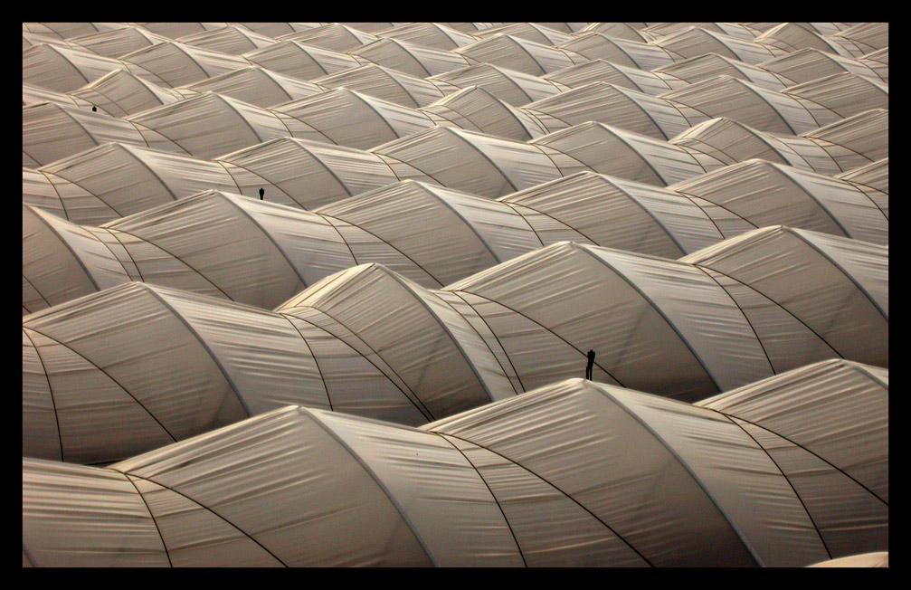 Passeggiata nel deserto