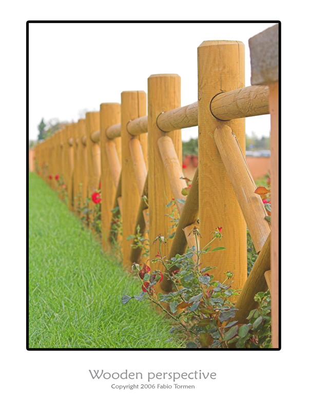 wooden perspective