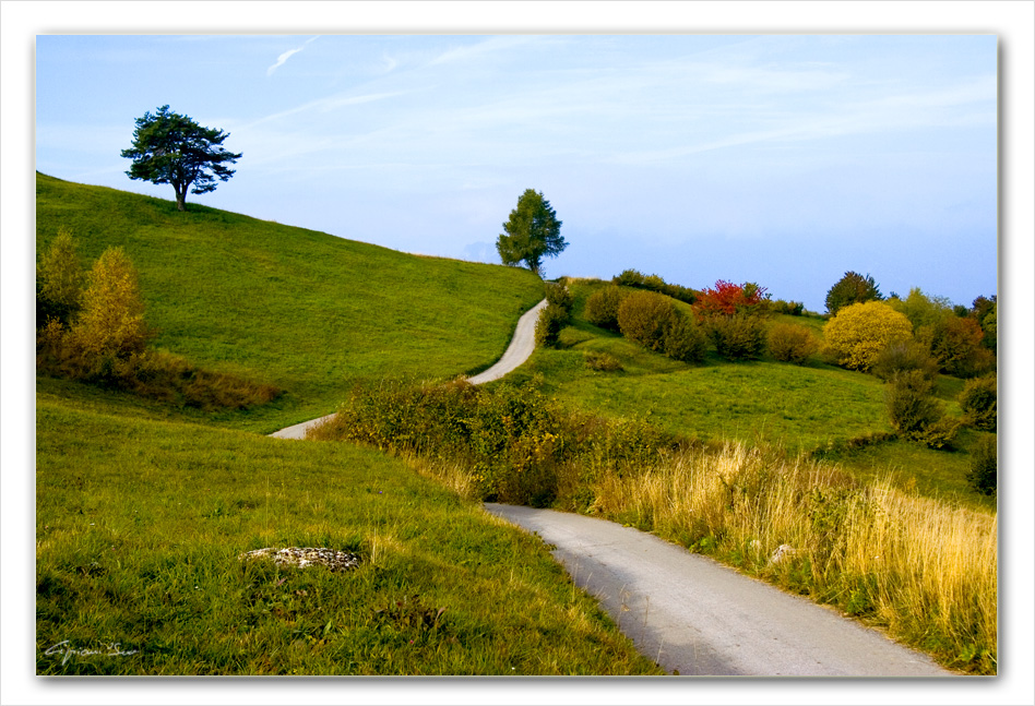Autunno in Val di Gresta.