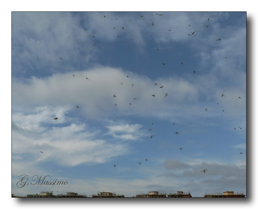 Ormai sono sulla citt�