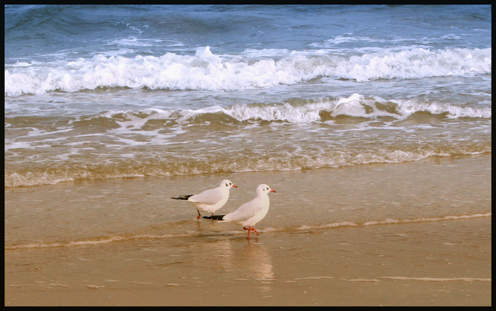 Passeggiata romantica
