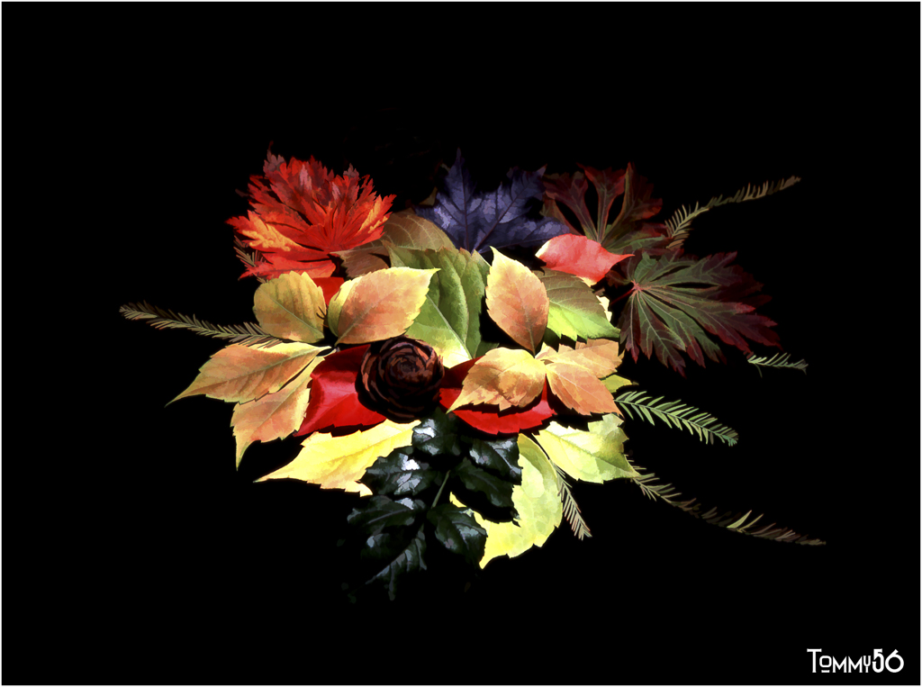 Composizione Autunnale