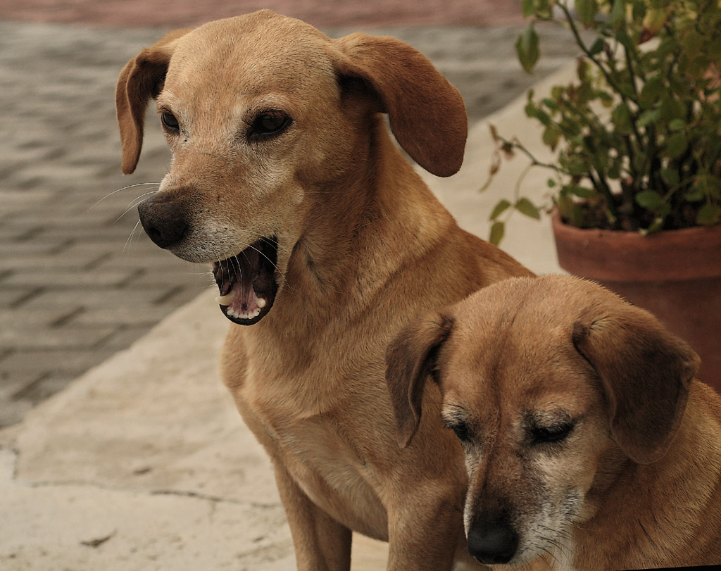 Questi 2 si amano...