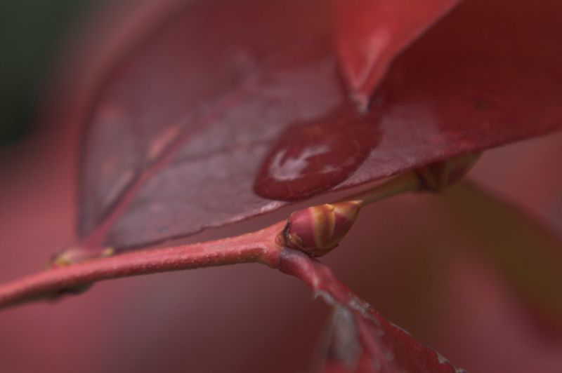 aspetta che ti annaffio... cos� diventi grande!