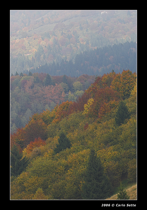 Vista del Colle del Gallo (Monte Grappa)