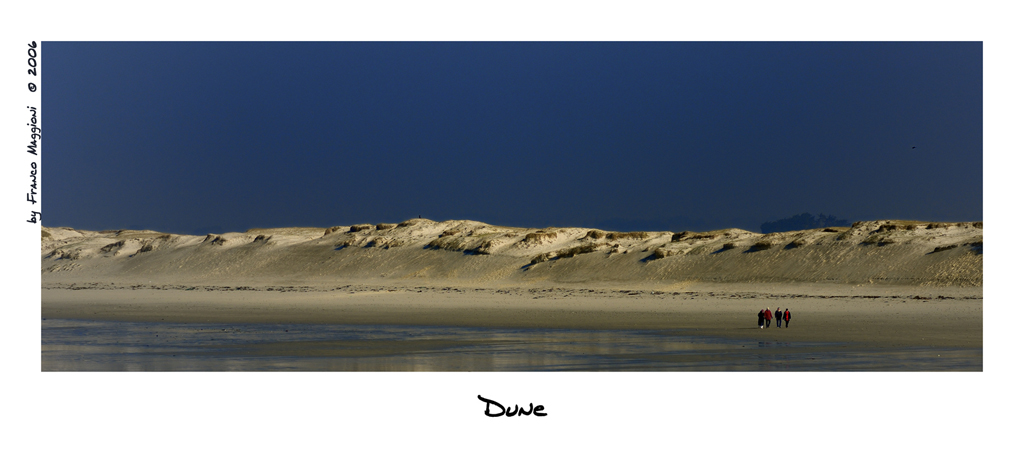 Dune