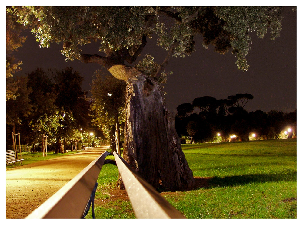 Costruzioni Metropolitane Morbide