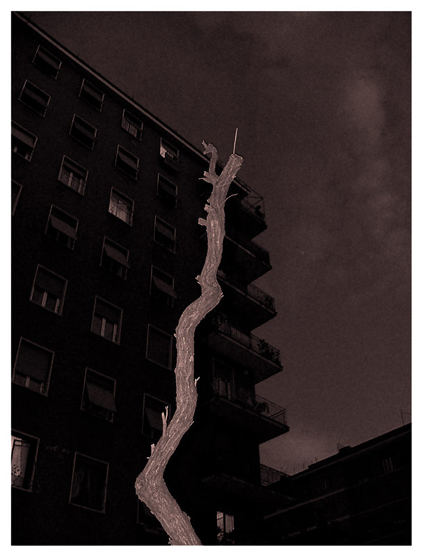 intrusioni in-naturali