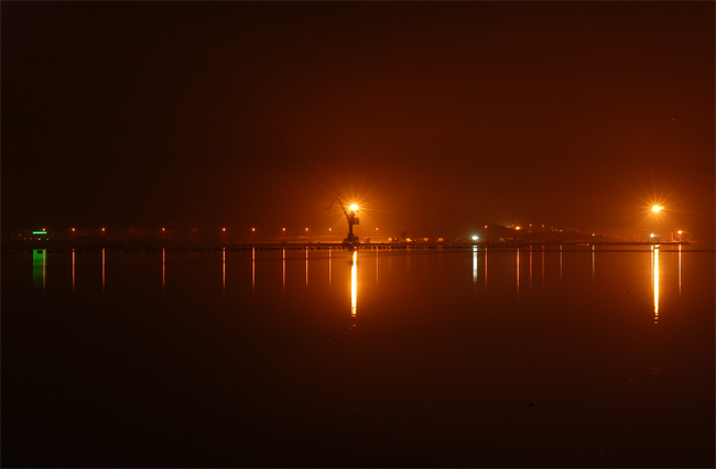 Gru, animale sconosciuto...