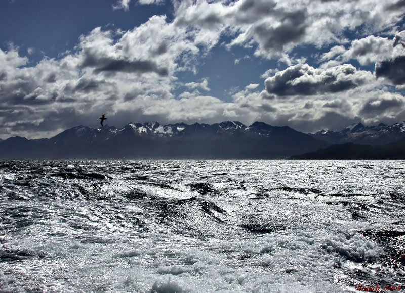 Canale di Beagle III (Terra del Fuoco)