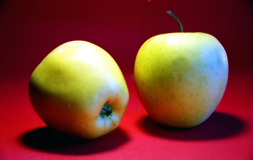 Mele-Prova di Still Life-