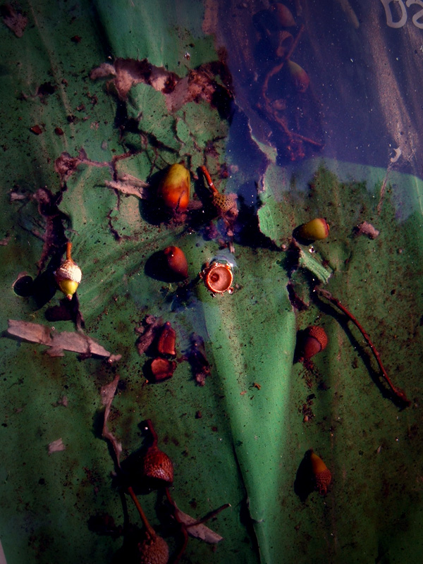 Circles and circles and circles again...