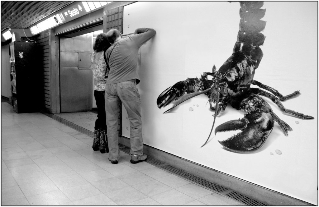 Mostri metropolitani