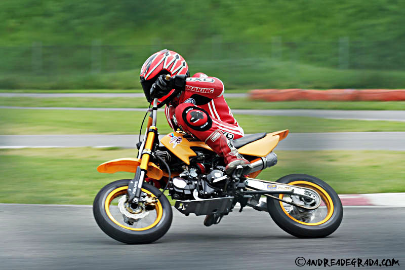 minimotard