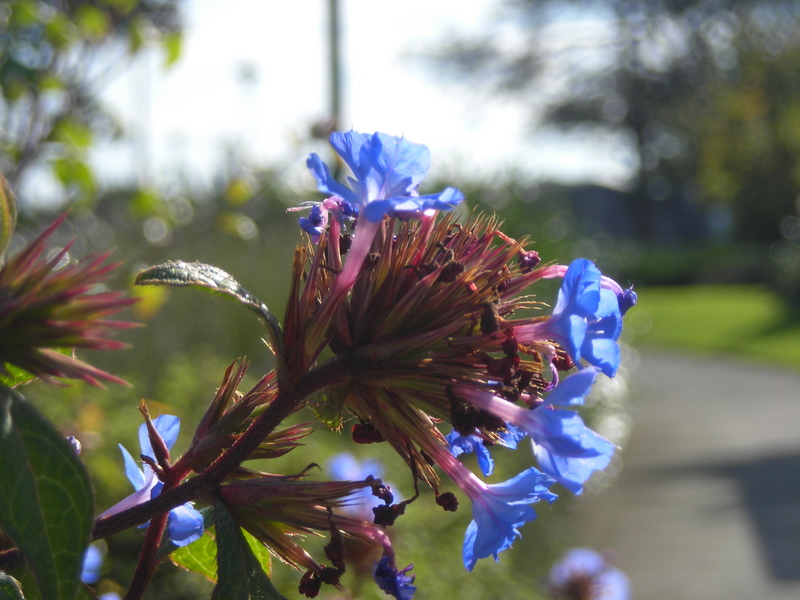 ...for all of you ladies....