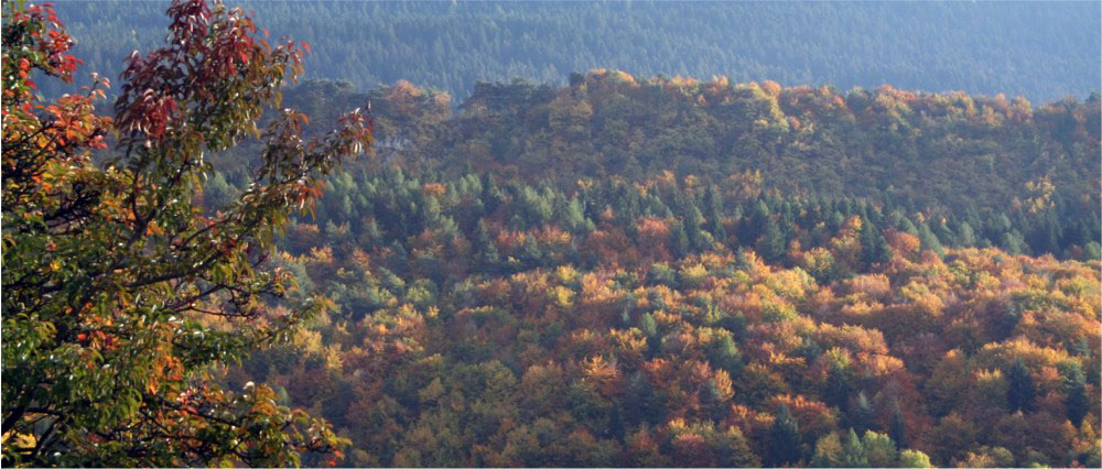 I colori dell'autunno
