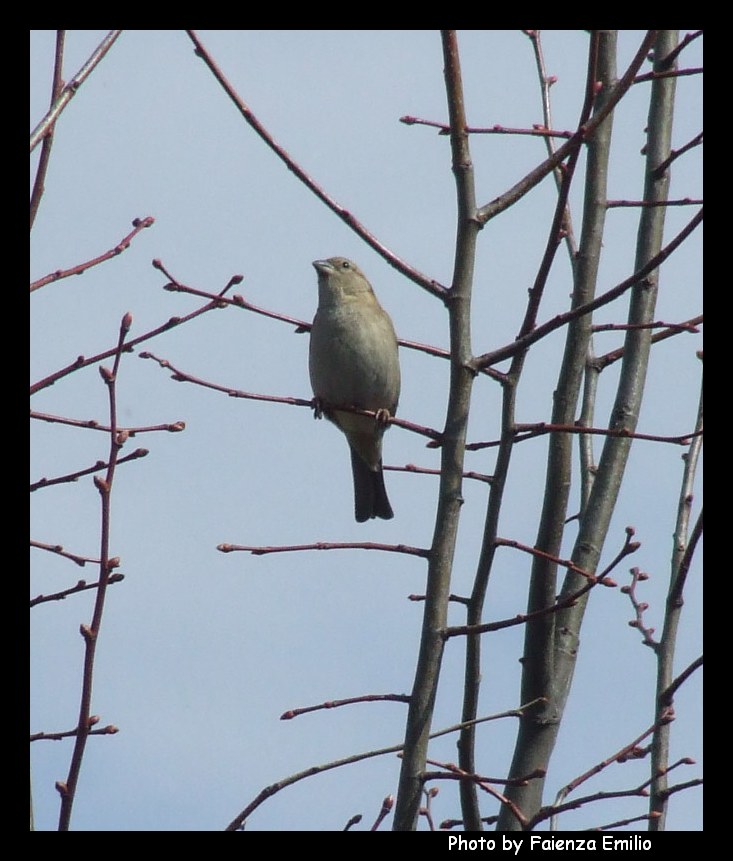 Fuori la mia finestra