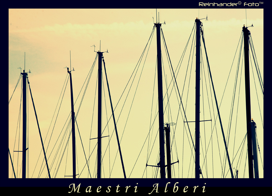 Maestri Alberi
