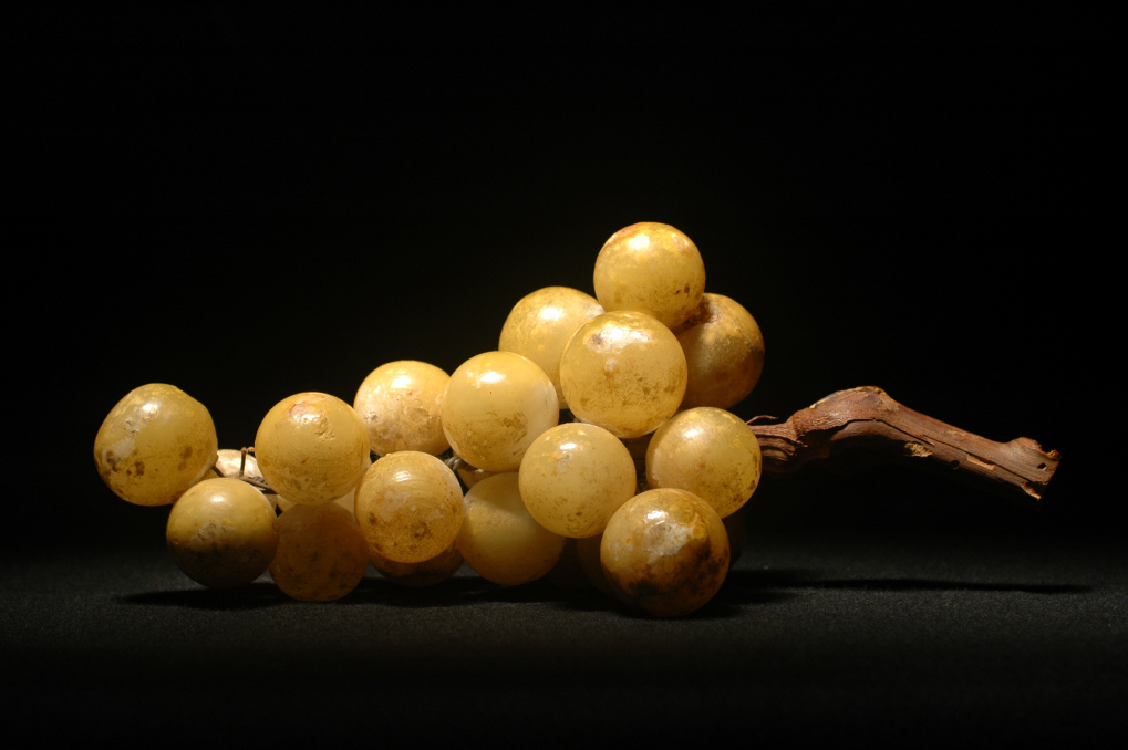 Grappolo d'uva (finto) al buio.