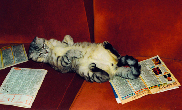 ... ou! qualcuno viene a farmi un po' di coccoleee!!!