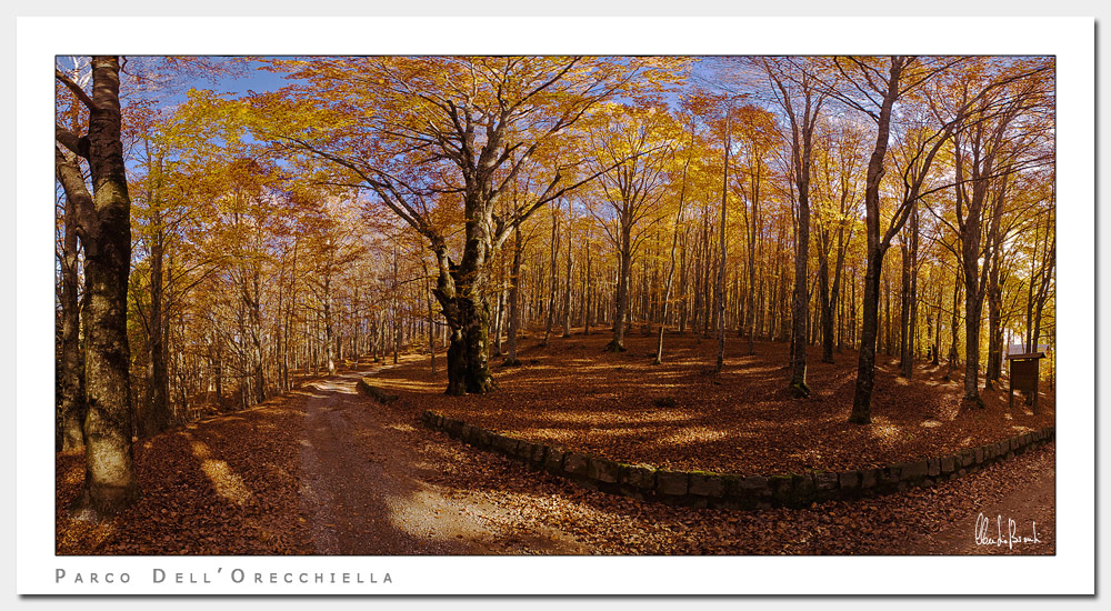 Faggeta (Stitch Panoramico)