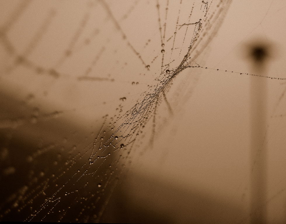 un mondo molto piu' sicuro