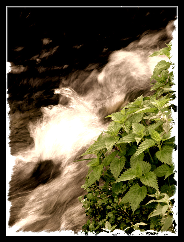 Absit iniuria verbis