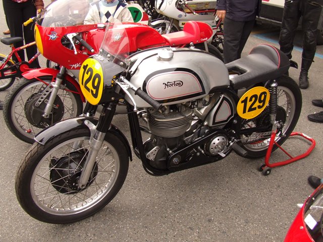 norton
