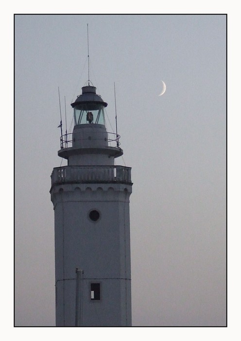 Faro