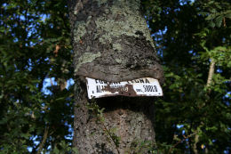 In cima alla catena alimentare