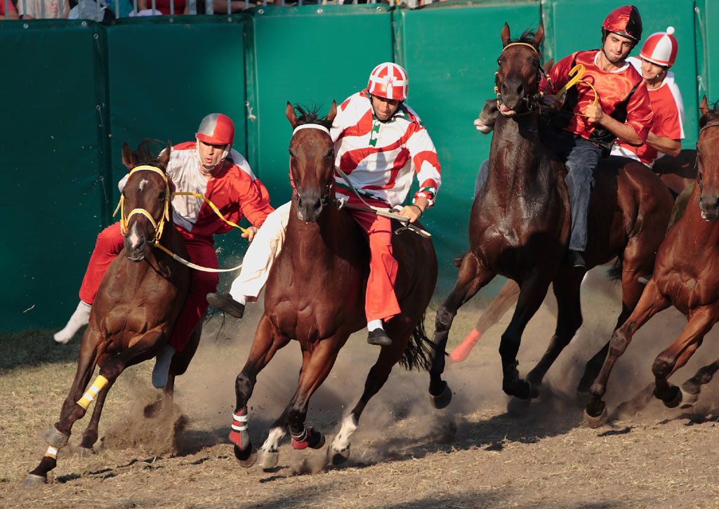 Corsa cavalli - CROP