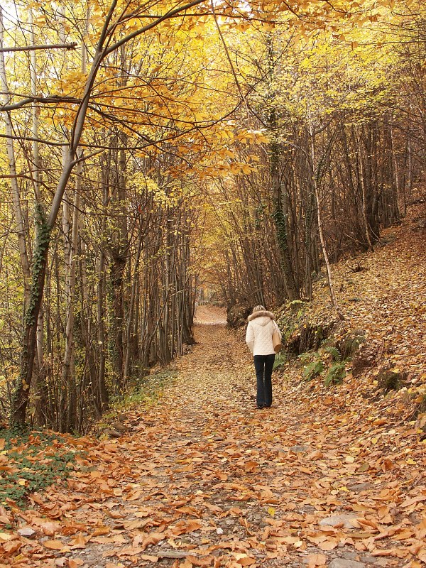 Camminando nel silenzio