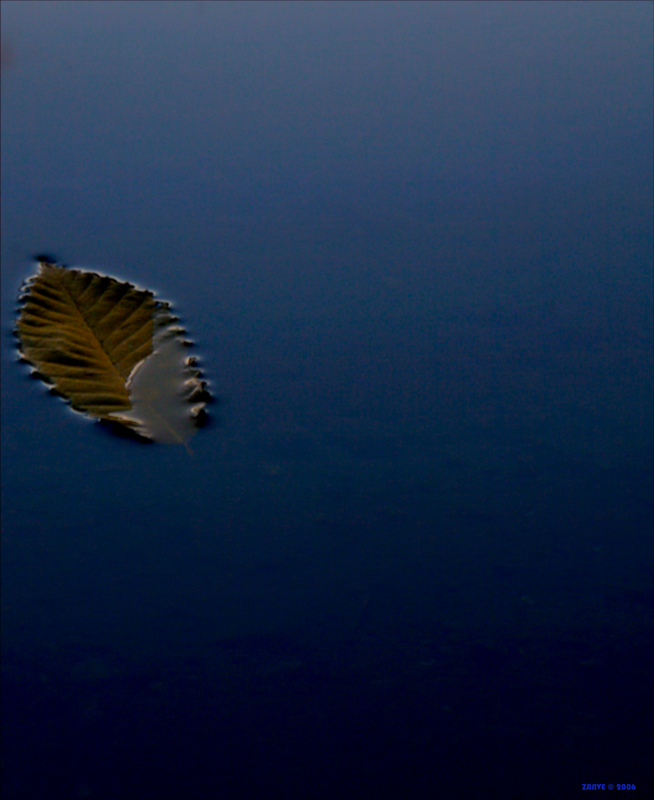 linea di gallegiamento