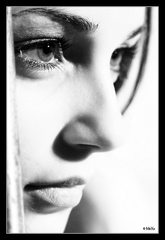 La Foto di Copertina