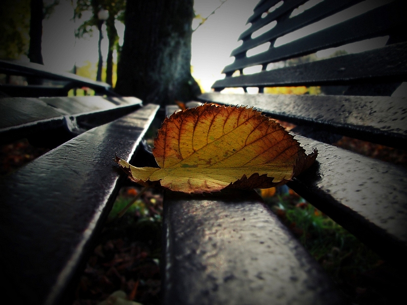 Mi fermo un attimo qui..