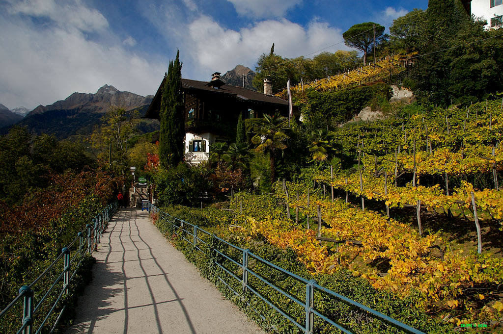 scorcio autunnale di Merano III