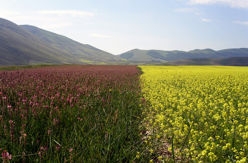 Ognuno dalla sua parte