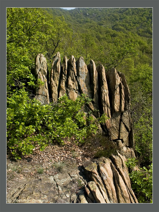 Suiseki naturale     -   12 aprile 2004