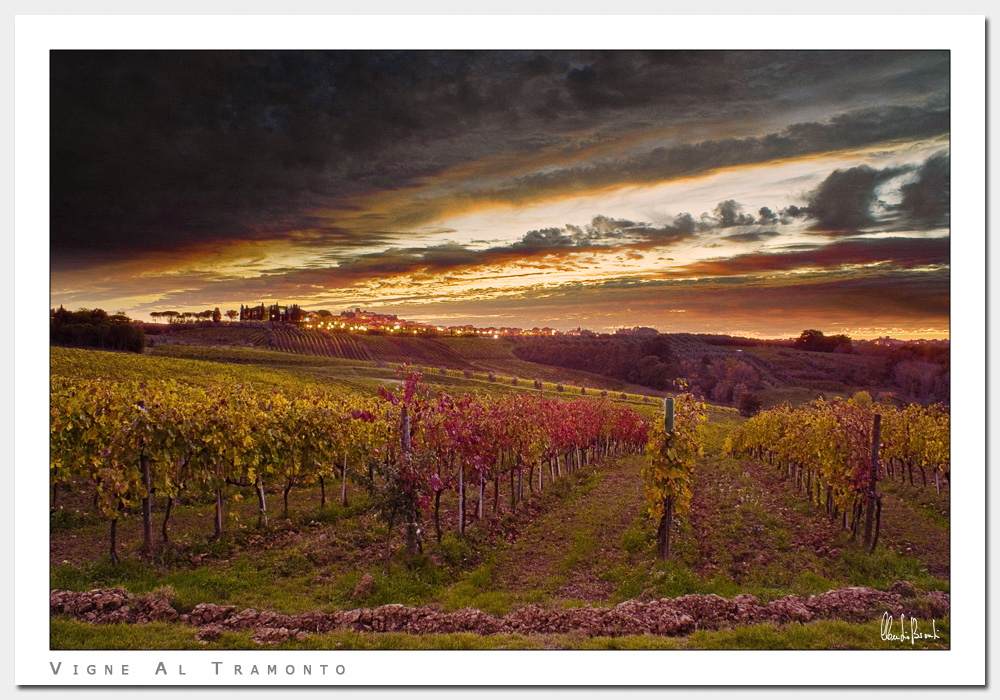 Vigne al Tramonto